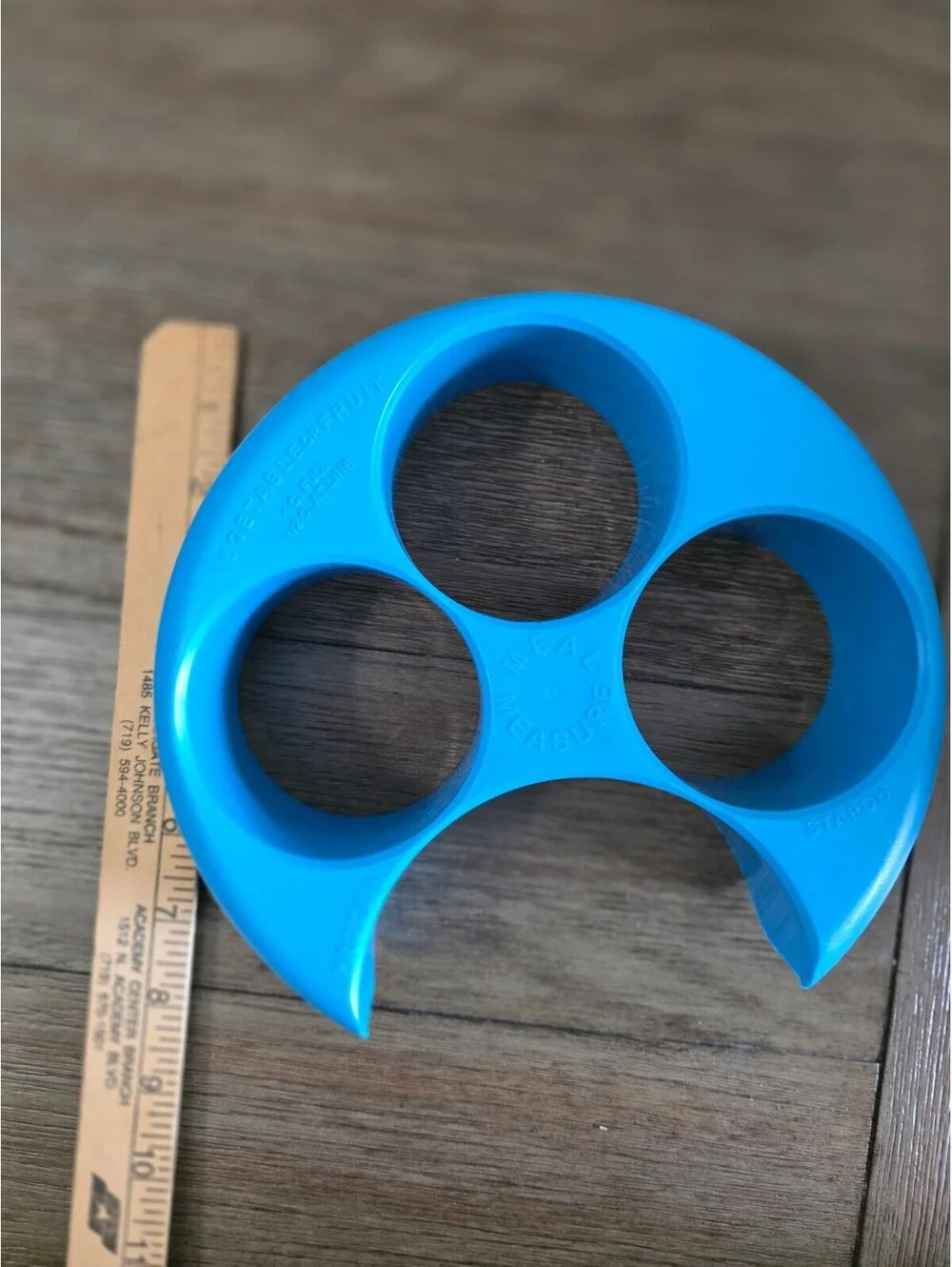Meal Measure Blue Plastic Portion Control Food Divider